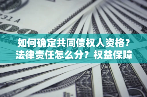 济南如何确定共同债权人资格？法律责任怎么分？权益保障技巧揭秘！