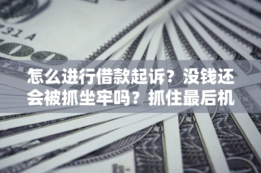 济南怎么进行借款起诉？没钱还会被抓坐牢吗？抓住最后机会！