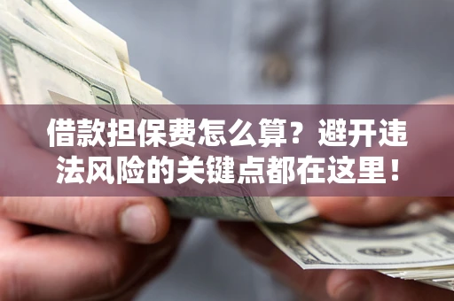 济南借款担保费怎么算？避开违法风险的关键点都在这里！