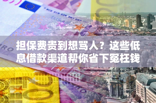 济南担保费贵到想骂人？这些低息借款渠道帮你省下冤枉钱
