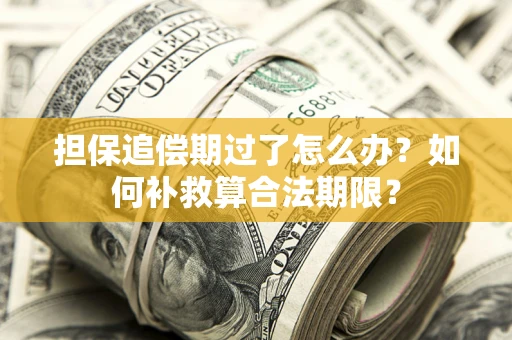 济南担保追偿期过了怎么办？如何补救算合法期限？