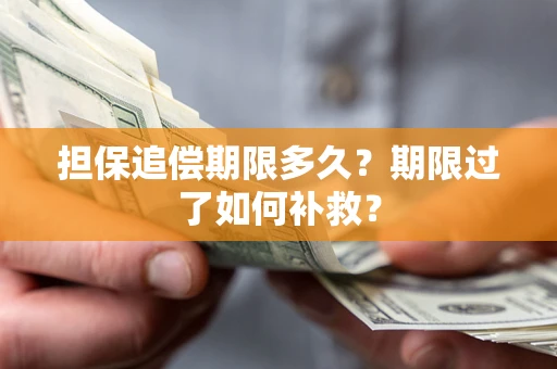 济南担保追偿期限多久？期限过了如何补救？