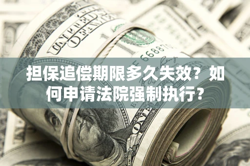 济南担保追偿期限多久失效？如何申请法院强制执行？