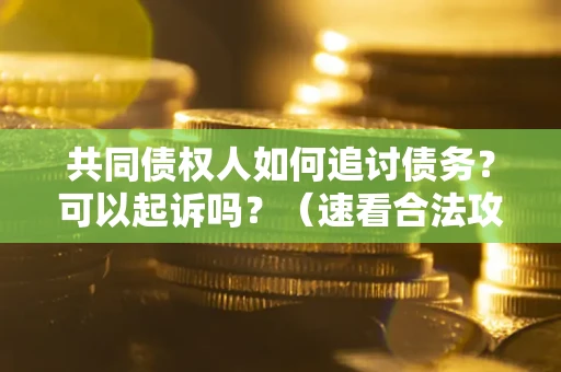 济南共同债权人如何追讨债务？可以起诉吗？（速看合法攻略）