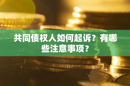 济南共同债权人如何起诉？有哪些注意事项？