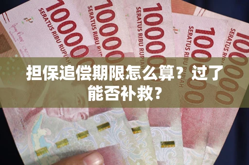 济南担保追偿期限怎么算？过了能否补救？
